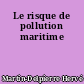 Le risque de pollution maritime