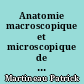 Anatomie macroscopique et microscopique de l'articulation temporo-mandibulaire.