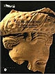 Les figurines de Suse : de l'époque néo-élamite à l'époque sassanide
