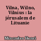 Vilna, Wilno, Vilnius : la jérusalem de Lituanie