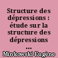 Structure des dépressions : étude sur la structure des dépressions : les dépressions ambivalentes