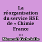 La réorganisation du service HSE de « Chimie France » : Enquête de l'impact d'un changement organisationnel sur l'acceptation sociale de la sécurité en entreprise