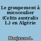 Le groupement à micocoulier (Celtis australis L.) en Algérie