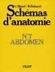 Schémas d'anatomie : 7 : abdomen