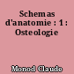 Schemas d'anatomie : 1 : Osteologie