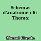 Schemas d'anatomie : 6 : Thorax