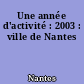 Une année d'activité : 2003 : ville de Nantes