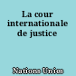 La cour internationale de justice