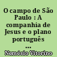 O campo de São Paulo : A companhia de Jesus e o plano português do Brasil