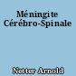 Méningite Cérébro-Spinale