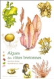 Algues des côtes bretonnes