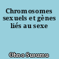 Chromosomes sexuels et gènes liés au sexe