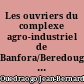 Les ouvriers du complexe agro-industriel de Banfora/Beredougou (Haute Volta)