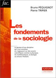 Les 	fondements de la sociologie
