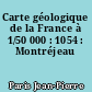 Carte géologique de la France à 1/50 000 : 1054 : Montréjeau