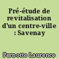 Pré-étude de revitalisation d'un centre-ville : Savenay