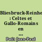 Bliesbruck-Reinheim : Celtes et Gallo-Romains en Moselle et en Sarre