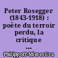 Peter Rosegger (1843-1918) : poète du terroir perdu, la critique d'un mythe : 1
