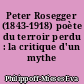 Peter Rosegger (1843-1918) poète du terroir perdu : la critique d'un mythe