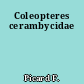 Coleopteres cerambycidae