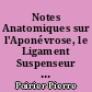 Notes Anatomiques sur l'Aponévrose, le Ligament Suspenseur et les Ganglions Lymphatiques de l'Aisselle