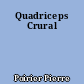 Quadriceps Crural