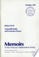 Yang-Mills fields and extension theory