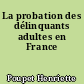 La probation des délinquants adultes en France