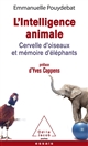 L'intelligence animale : cervelle d'oiseaux et mémoire d'éléphants