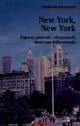 New York, New York : Espace, pouvoir, citoyenneté dans une ville-monde