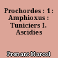 Prochordes : 1 : Amphioxus : Tuniciers I. Ascidies