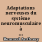Adaptations nerveuses du système neuromusculaire à l'exercice isotonique versus isocinétique