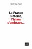 La France s'éteint, l'Islam s'embrase... : Réflexions sur un malaise