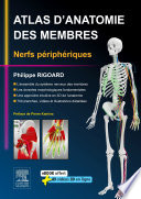 Atlas d'anatomie des membres : nerfs périphériques