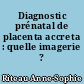 Diagnostic prénatal de placenta accreta : quelle imagerie ?