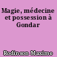 Magie, médecine et possession à Gondar