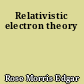 Relativistic electron theory