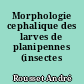 Morphologie cephalique des larves de planipennes (insectes névroptéroïdes)