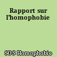 Rapport sur l'homophobie
