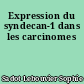 Expression du syndecan-1 dans les carcinomes