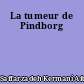 La tumeur de Pindborg