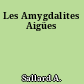 Les Amygdalites Aigües