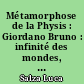 Métamorphose de la Physis : Giordano Bruno : infinité des mondes, vicissitudes des choses, sagesse héroïque