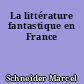 La littérature fantastique en France