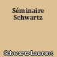 Séminaire Schwartz