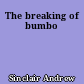 The breaking of bumbo