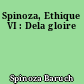 Spinoza, Ethique VI : Dela gloire
