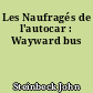 Les Naufragés de l'autocar : Wayward bus