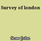 Survey of london