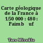 Carte géologique de la France à 1/50 000 : 480 : Paimbœuf